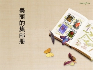 美丽的集邮册PPT(2)