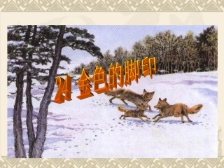 金色的脚印 (4)