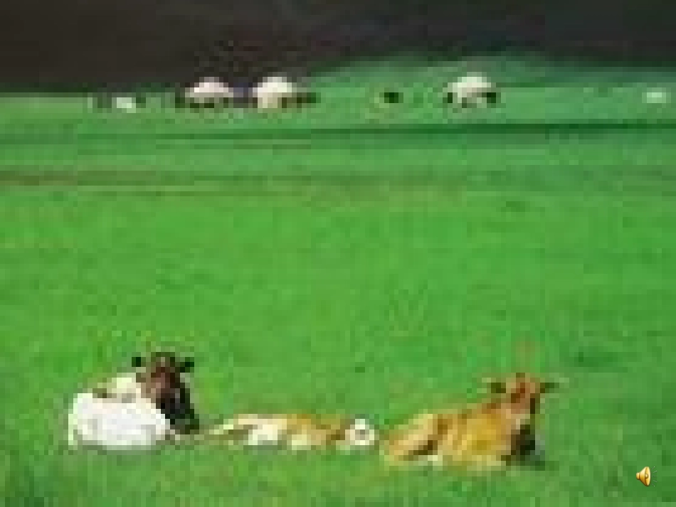 草原课件之一_第2页