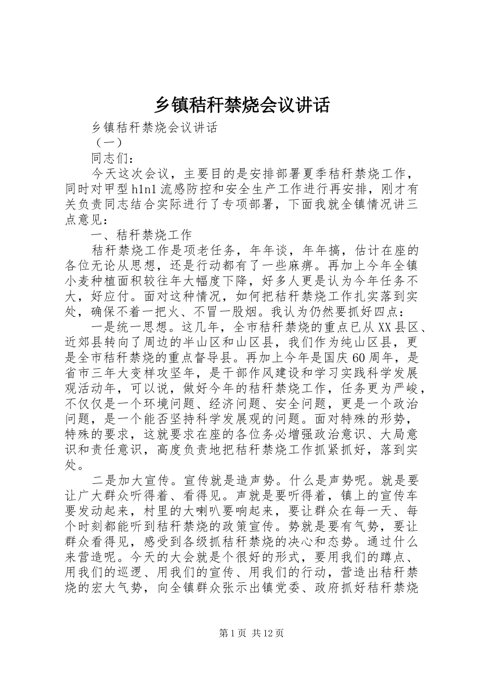 乡镇秸秆禁烧会议讲话发言_第1页