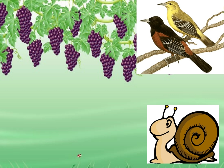 蜗牛与黄鹂鸟PPT_第2页