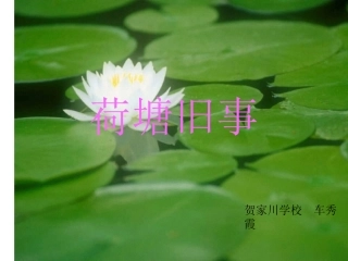 课件《荷塘旧事》