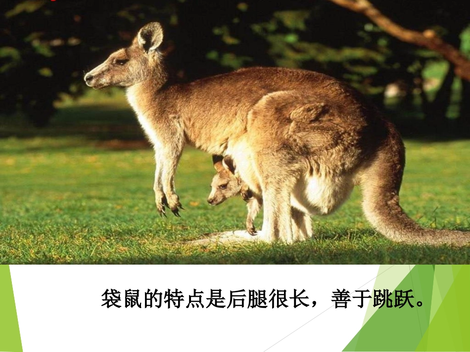 从现在开始课件刘涛_第2页