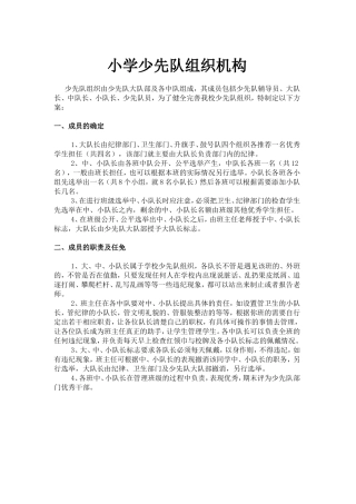 ((一)小学少先队组织机构