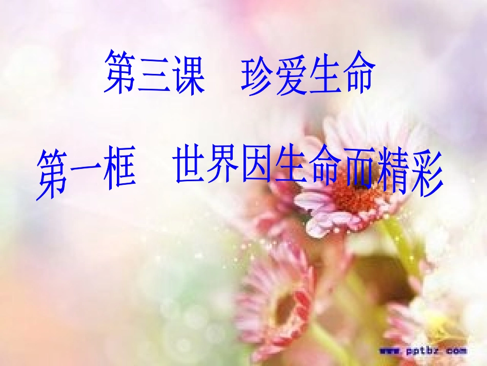 我的课世界因生命而精彩_第1页