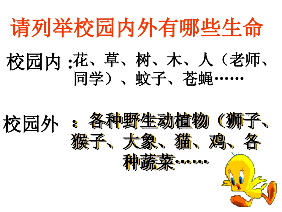 我的课世界因生命而精彩_第3页