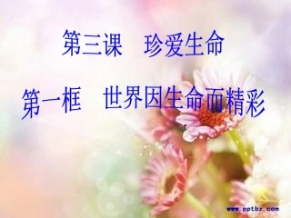 我的课世界因生命而精彩