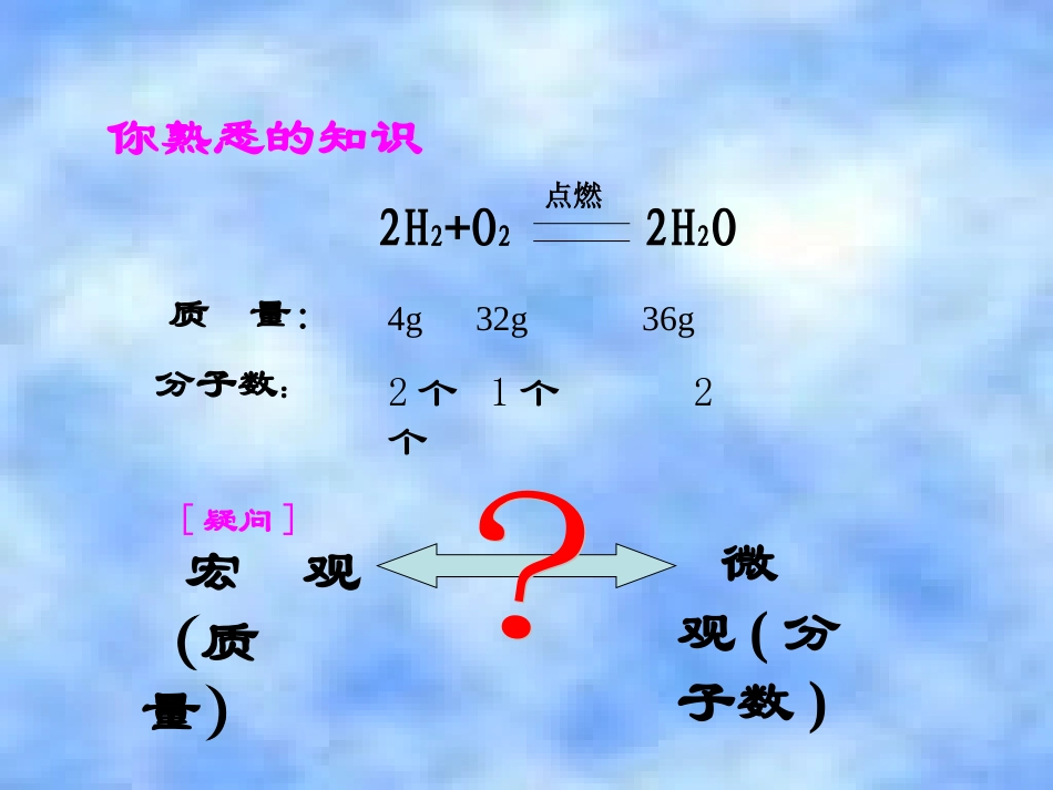 高一化学物质的量优质课课件2_第2页
