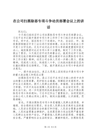 在公司扫黑除恶专项斗争动员部署会议上的讲话发言