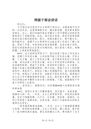 两级干部会讲话发言