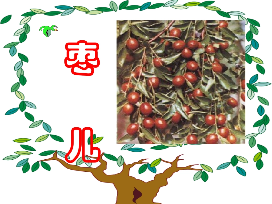 《枣儿》课件2_第2页