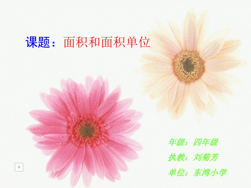 面积与面积单位--_第1页