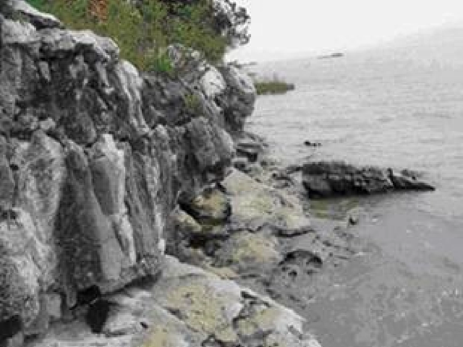 口语交际假如我是导游_第2页