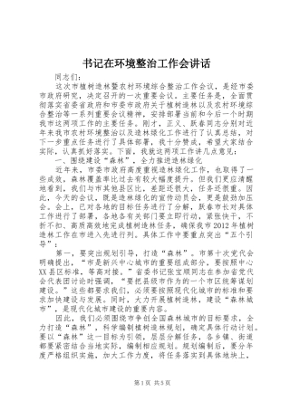 书记在环境整治工作会讲话发言