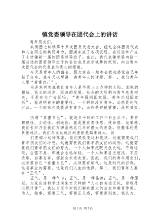 镇党委领导在团代会上的讲话发言
