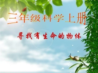 寻找有生命的物体