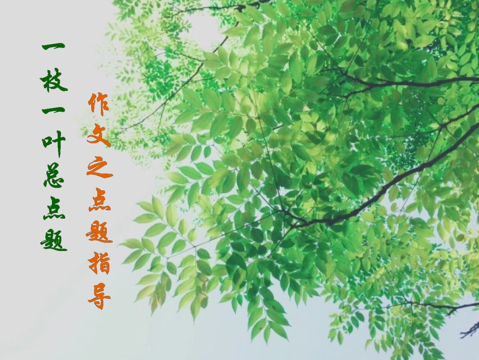 一枝一叶总点题_第1页
