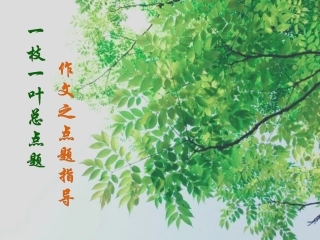 一枝一叶总点题