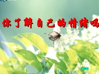 《你了解自己的情绪吗》PPT课件(10)