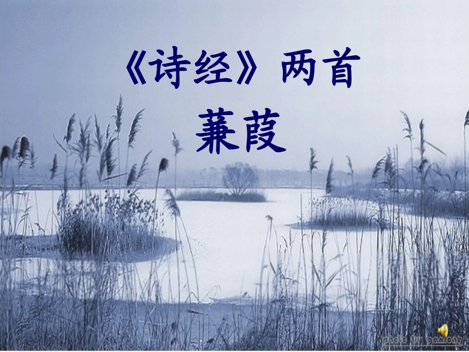 蒹葭（王金凤）_第1页