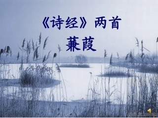 蒹葭（王金凤）