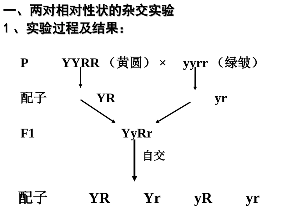 自由组合定律中的特值问题1_第2页
