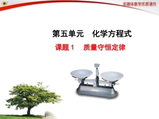 课题1质量守恒定律 (2)