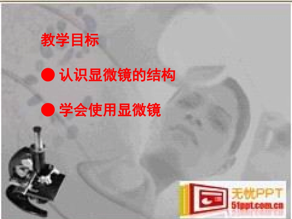 显微镜的结构和使用_第2页