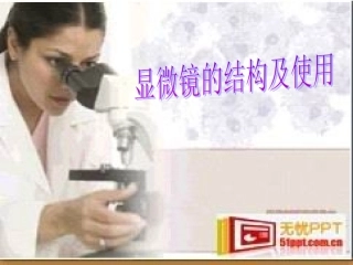显微镜的结构和使用