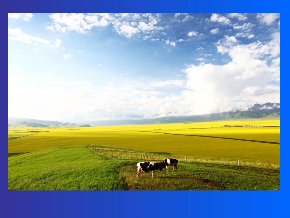 三下册《语文园地一》58_第3页