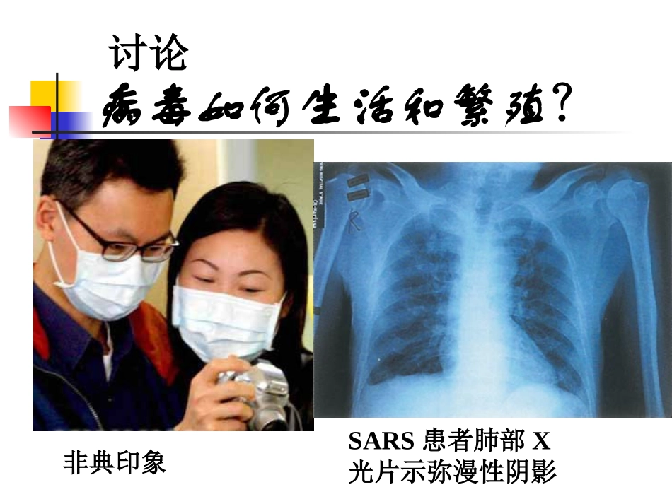 从生物圈到细胞课件人教版必修一_第3页