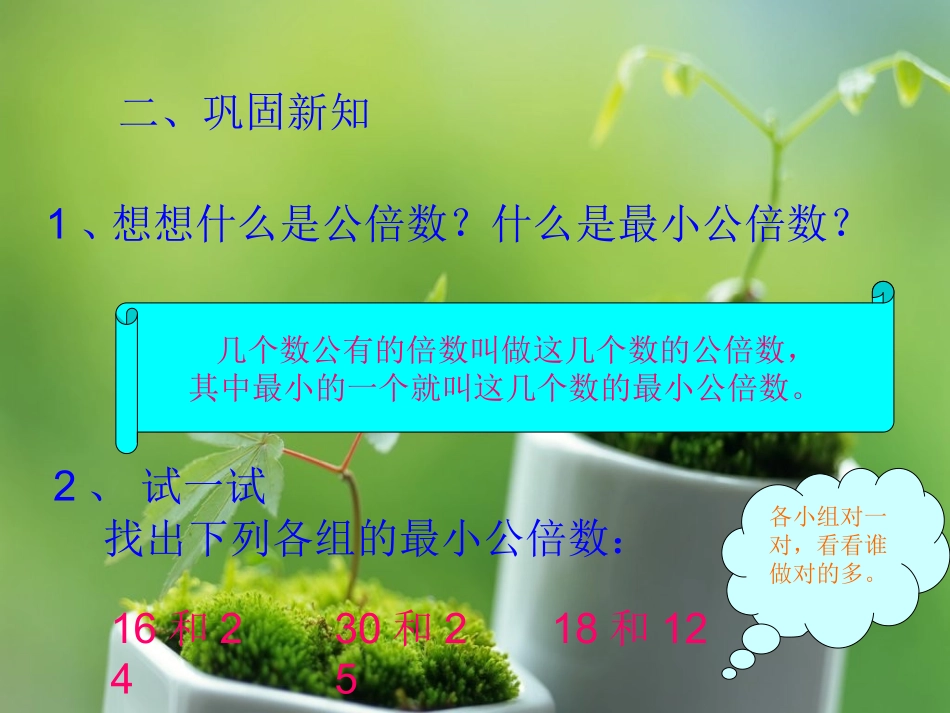 北师大版数学《找最小公倍数》_第3页
