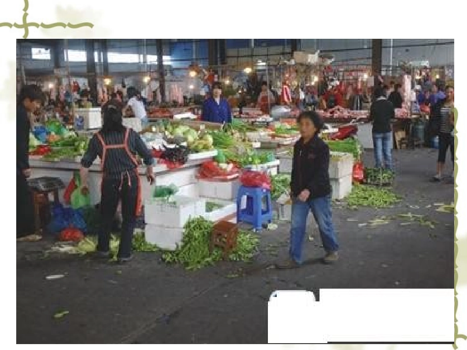 调查我们身边的环_第2页