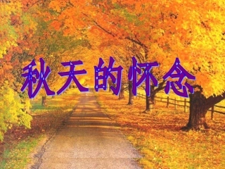《秋天的怀念》教学配套用课件