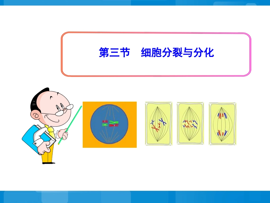 《细胞分裂与分化》同步授课课件_第1页