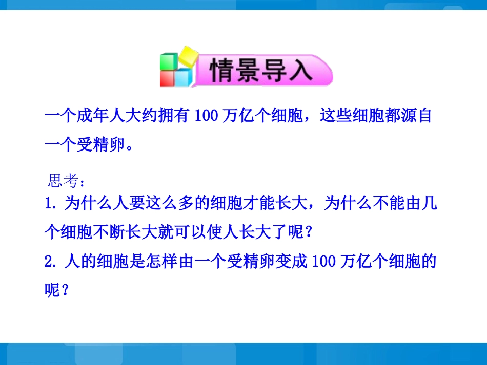 《细胞分裂与分化》同步授课课件_第2页