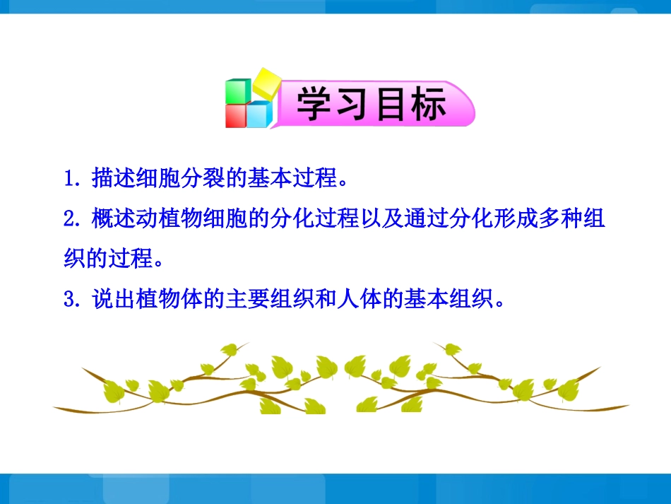 《细胞分裂与分化》同步授课课件_第3页