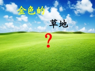 金色的草地 (3)