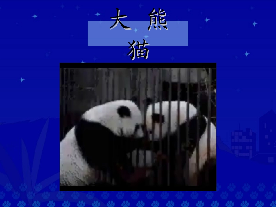 《大熊猫》课件_第3页