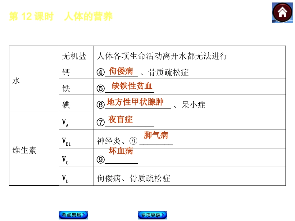 【2015中考复习方案】生物（人教版）总复习课件：第12课时·人体的营养_第3页