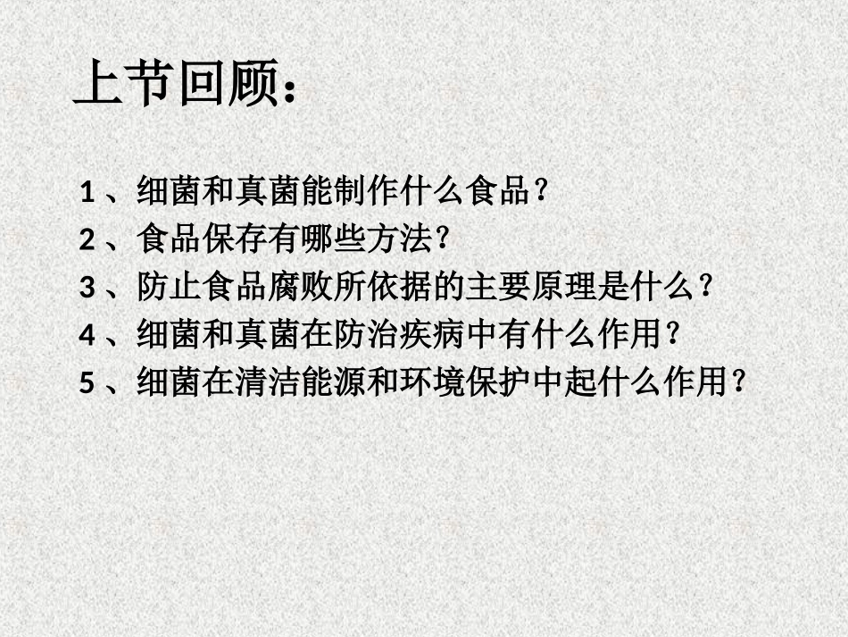 八上第五章《病毒》课件_第1页