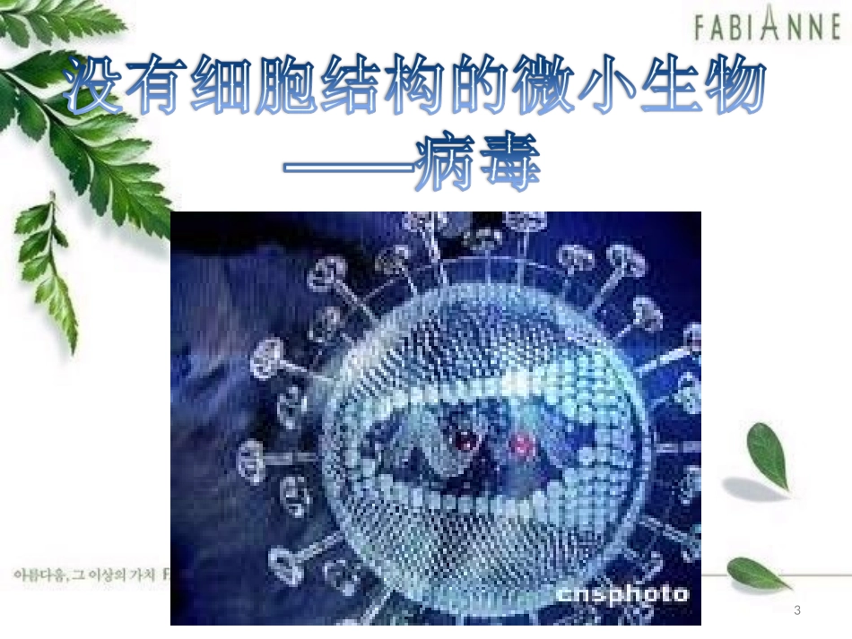 八上第五章《病毒》课件_第3页