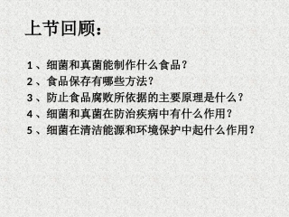 八上第五章《病毒》课件