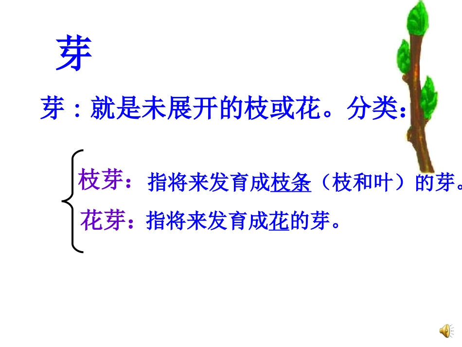初中一年级生物上册第二单元生物体的结构层次第三章细胞是生命活动的基本单元第二节人和动物细胞的结构和功能第一课时课件_第3页