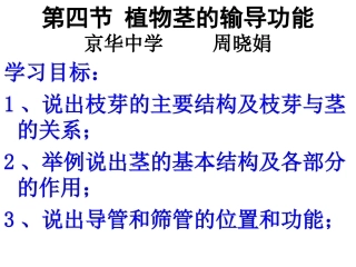 初中一年级生物上册第二单元生物体的结构层次第三章细胞是生命活动的基本单元第二节人和动物细胞的结构和功能第一课时课件