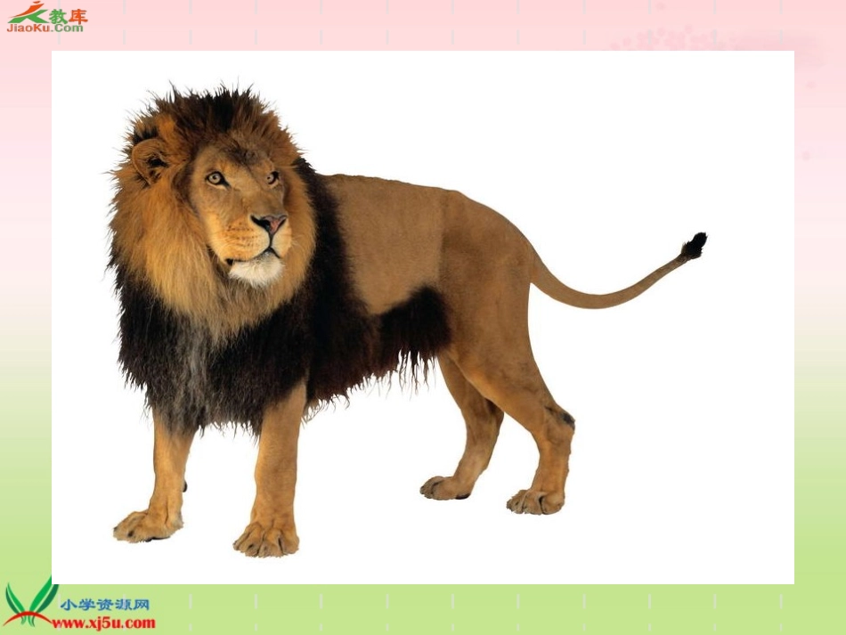 狮子和兔子 (2)_第3页