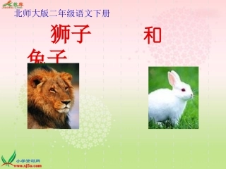 狮子和兔子 (2)