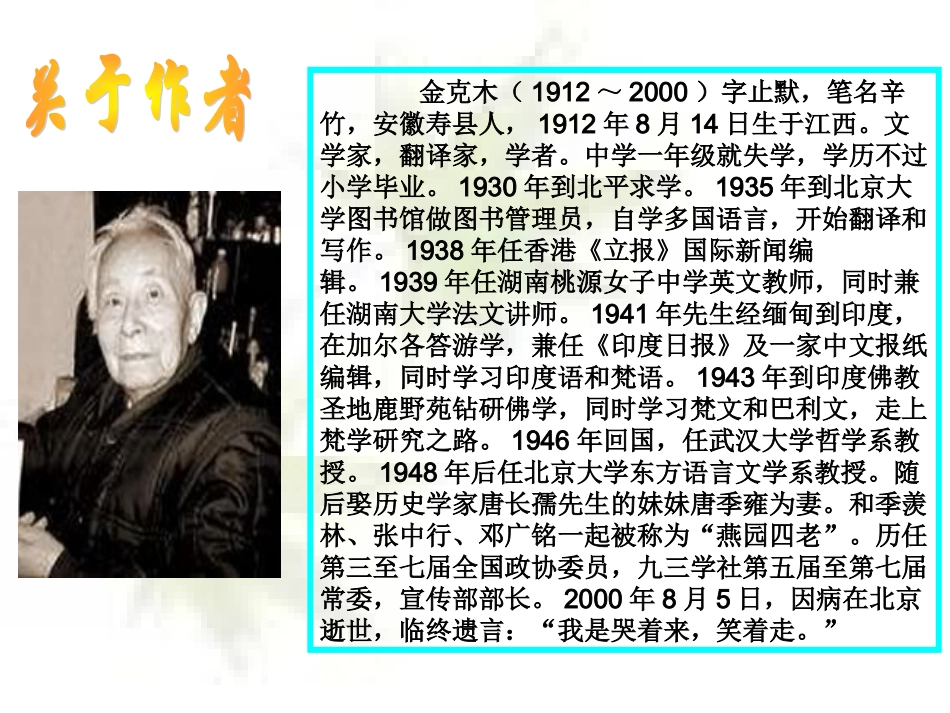 大小猫洞PPT_第3页