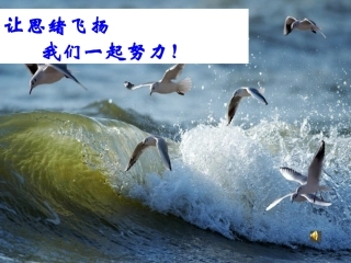 九下第一单元  4海燕