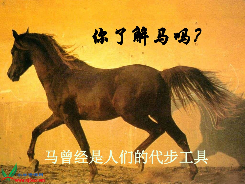 （北师大版）五年级语文上册课件天马_第2页